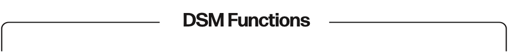 DSM Functions